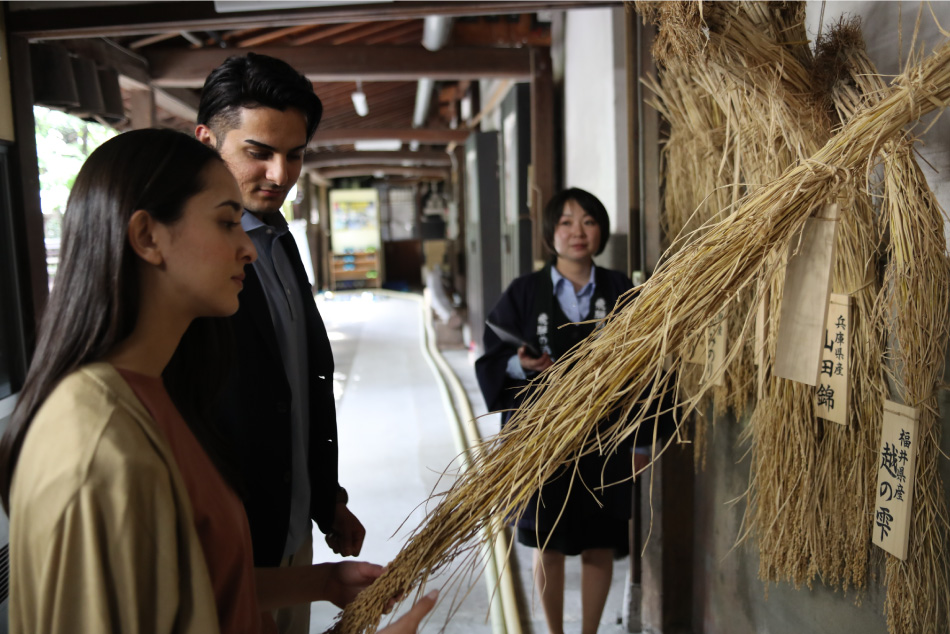 Sake brewery visits to world-renowned “Hourai”