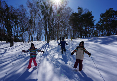 Snowfield snowshoe guided walk