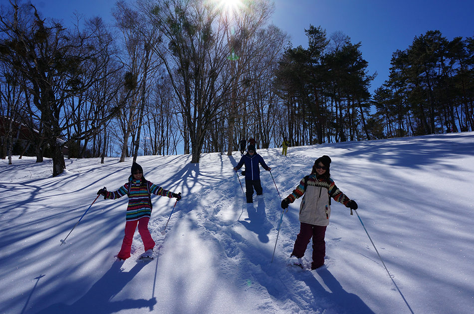 Snowfield snowshoe guided walk