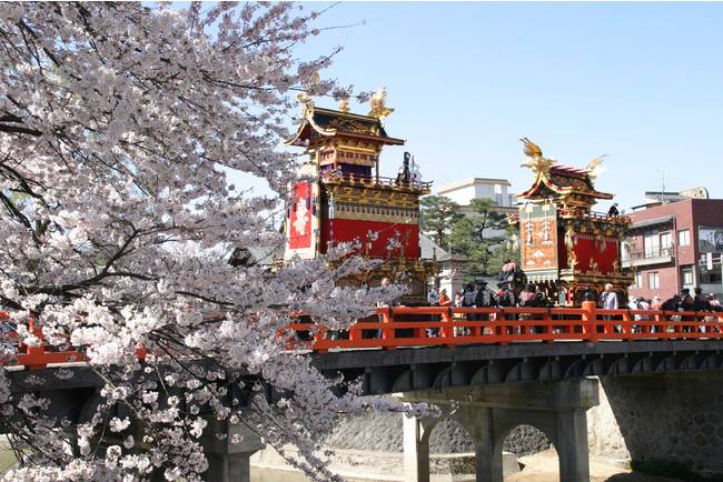 春の高山祭（赤い中橋と桜）